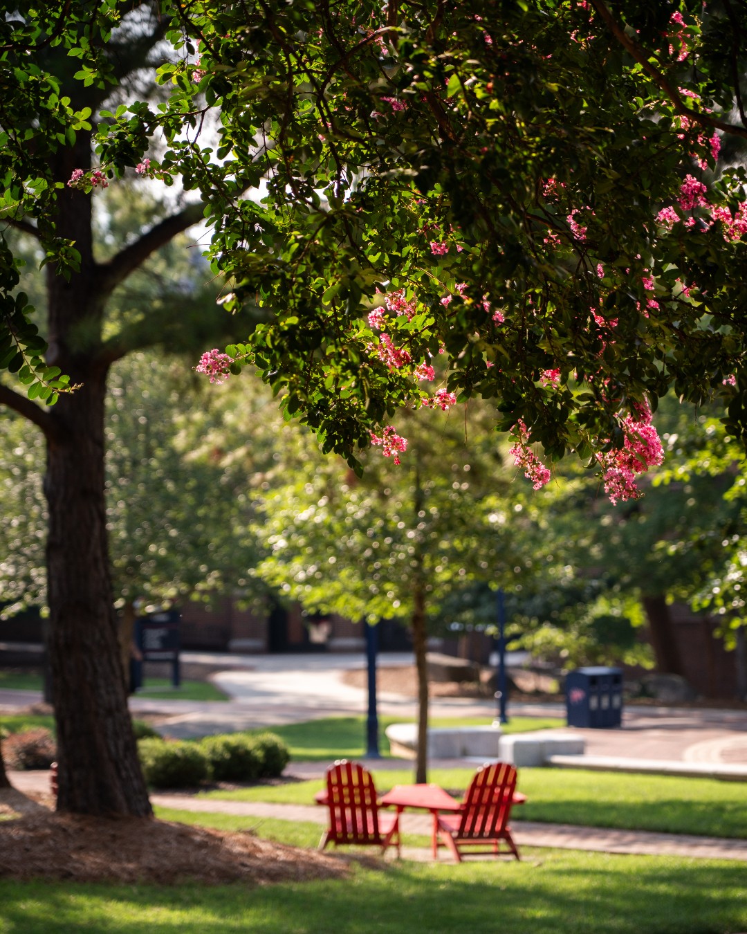 image posted to Instagram by urichmond