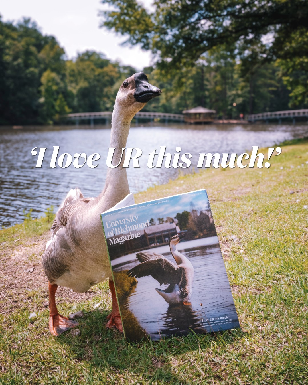 image posted to Instagram by urichmond