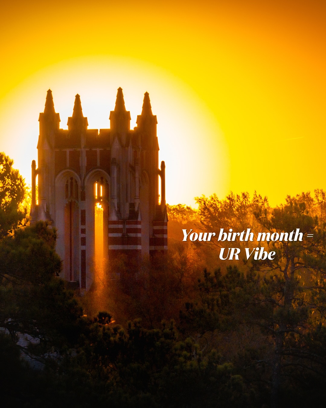 image posted to Instagram by urichmond