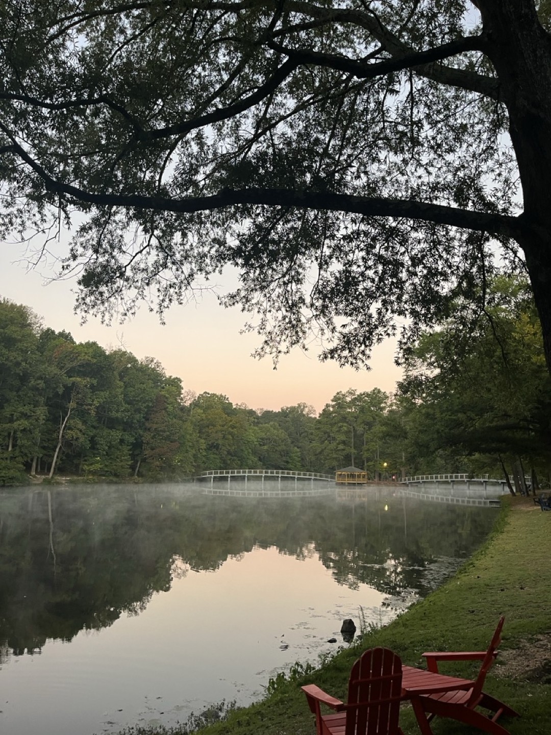 image posted to Instagram by urichmond