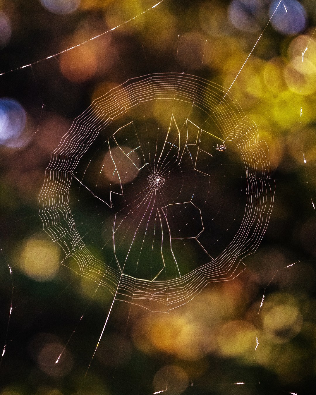 image posted to Instagram by urichmond