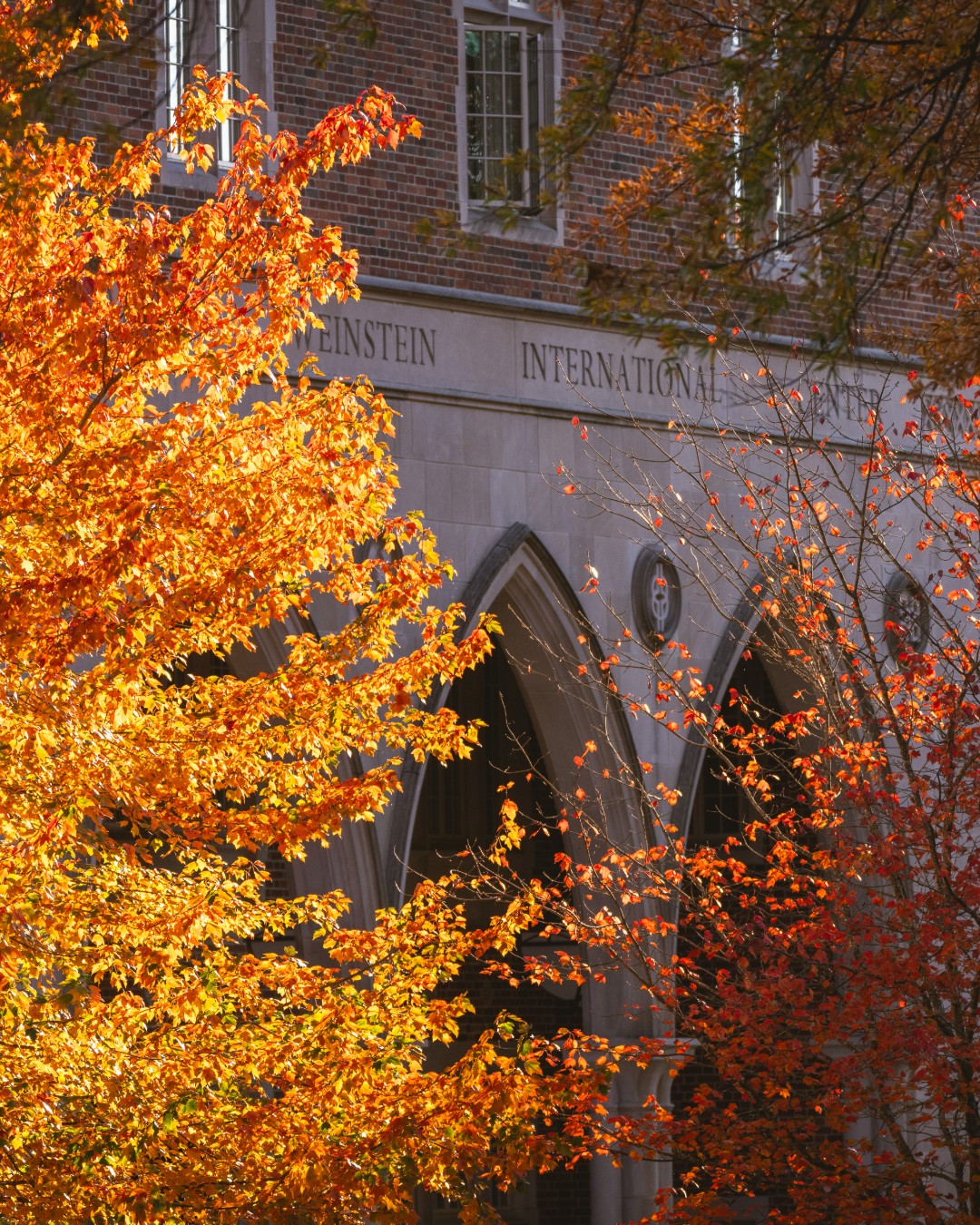 image posted to Instagram by urichmond