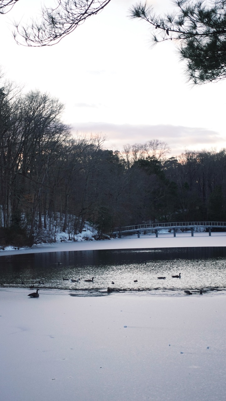 image posted to Instagram by urichmond