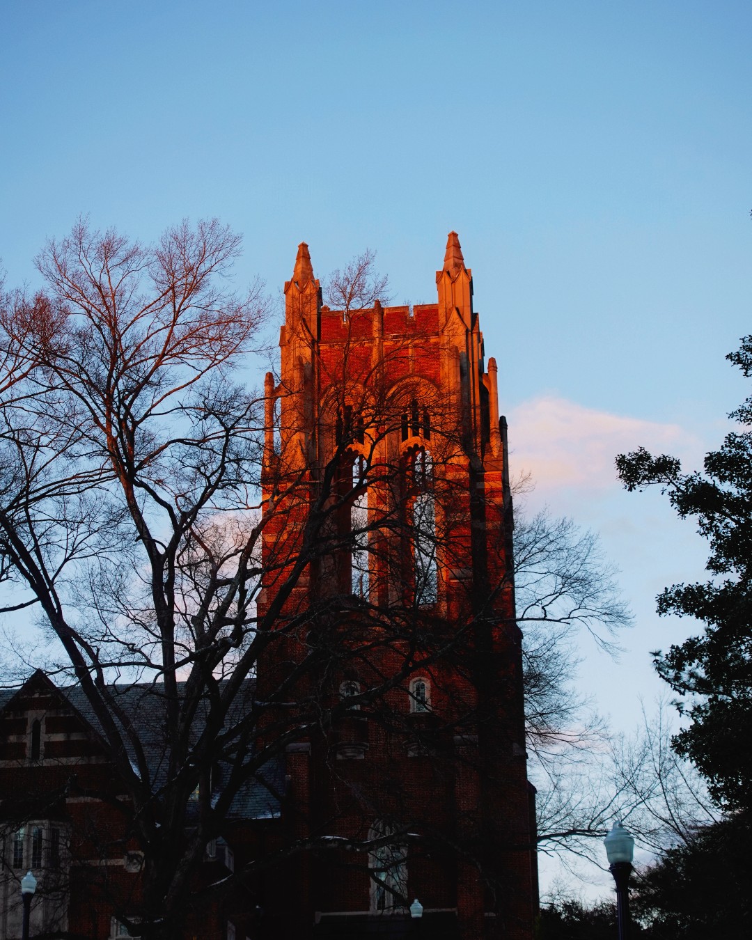 image posted to Instagram by urichmond