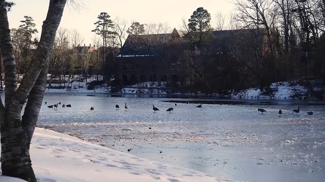 image posted to Instagram by urichmond