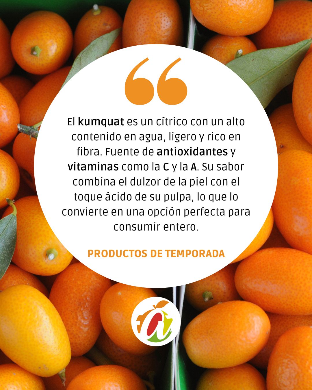 Instagram post main image 3