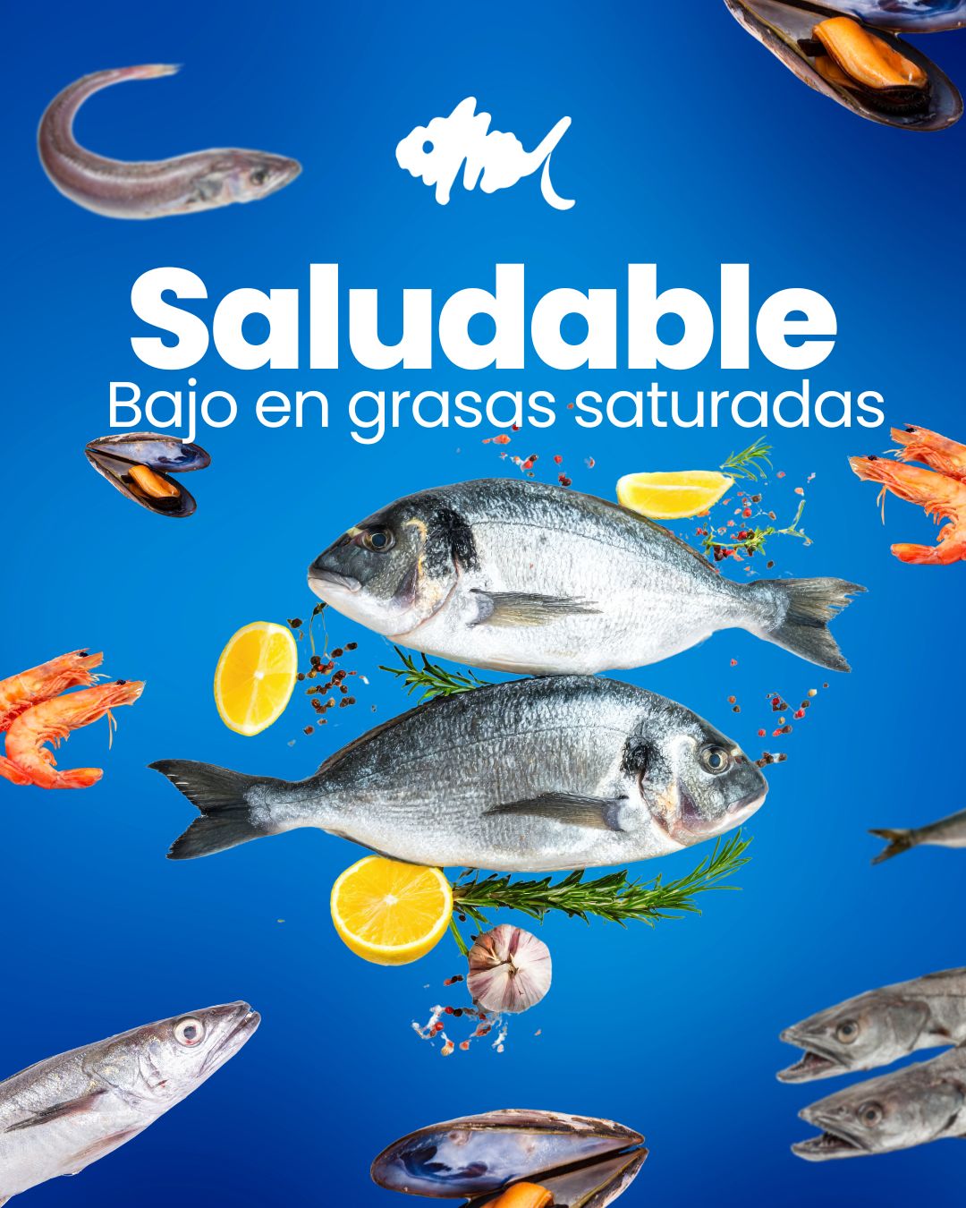 Instagram post main image 1