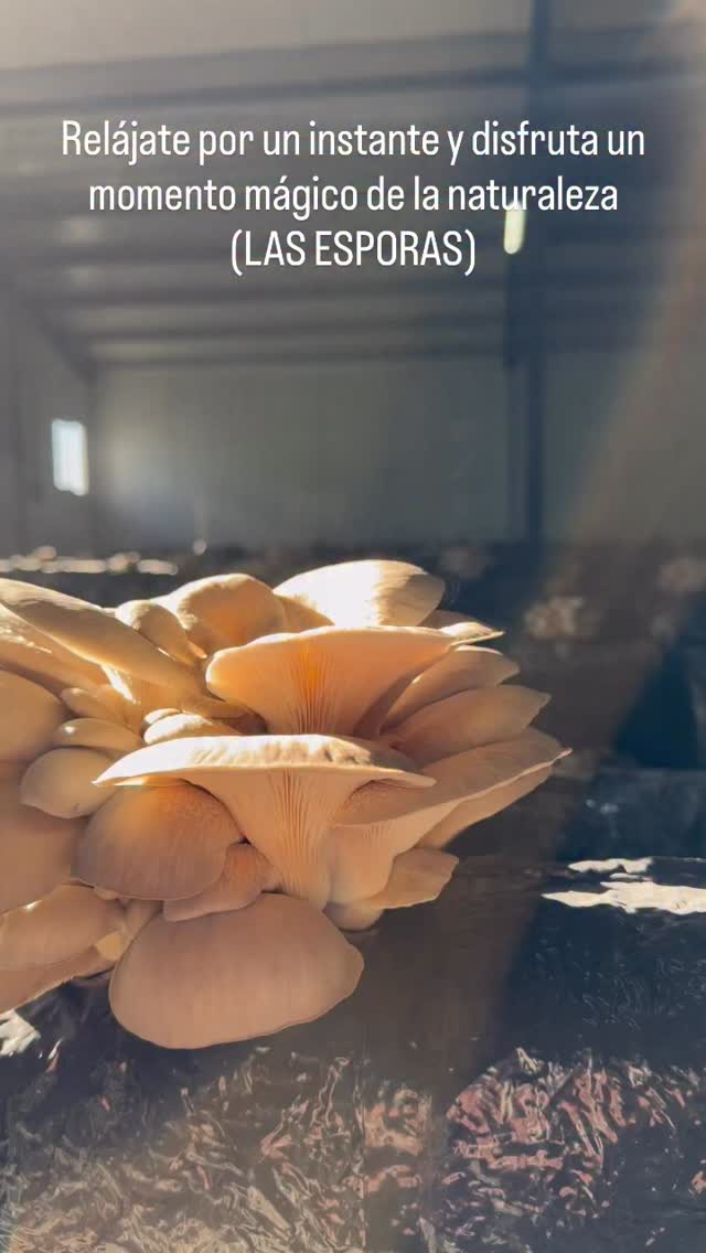 Instagram post main image 2