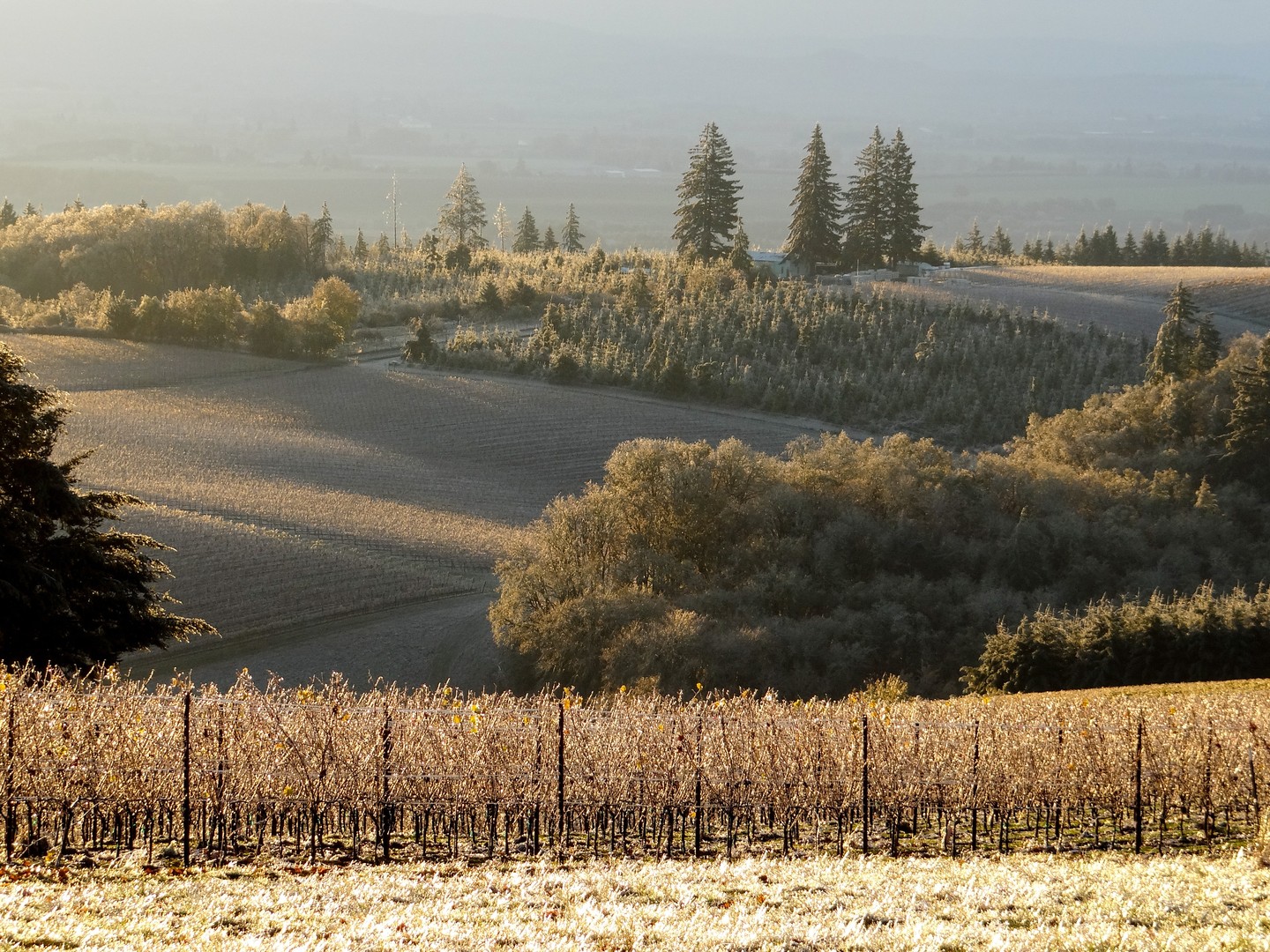 Instagram post image